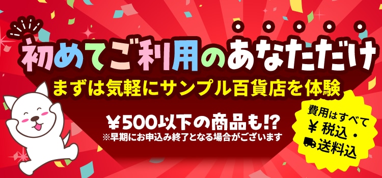 初回限定