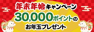 8165.年末年始キャンペーン