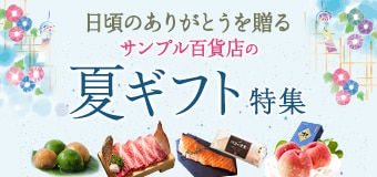 8973.夏ギフト特集