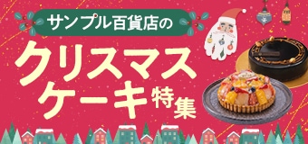 9535.クリスマスケーキ特集