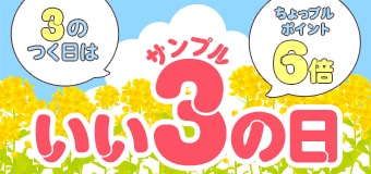 8529.202603サンプルの日 6倍