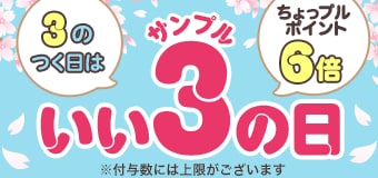 8656.202604サンプルの日 6倍