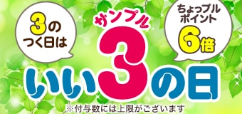 8834.202605サンプルの日 6倍