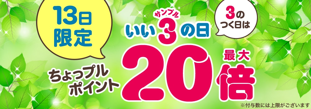 8838.202605サンプルの日 最大20倍