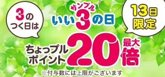 8838.202605サンプルの日 最大20倍