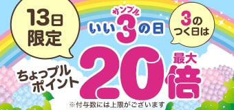 8949.202606サンプルの日 最大20倍