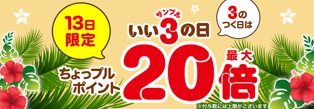 9091.202607サンプルの日 最大20倍