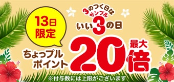 9091.202607サンプルの日 最大20倍