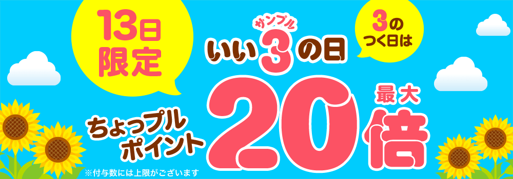 9248.202608サンプルの日 最大20倍