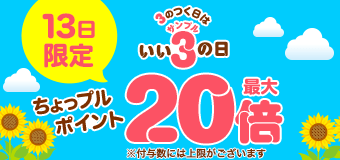 9248.202608サンプルの日 最大20倍