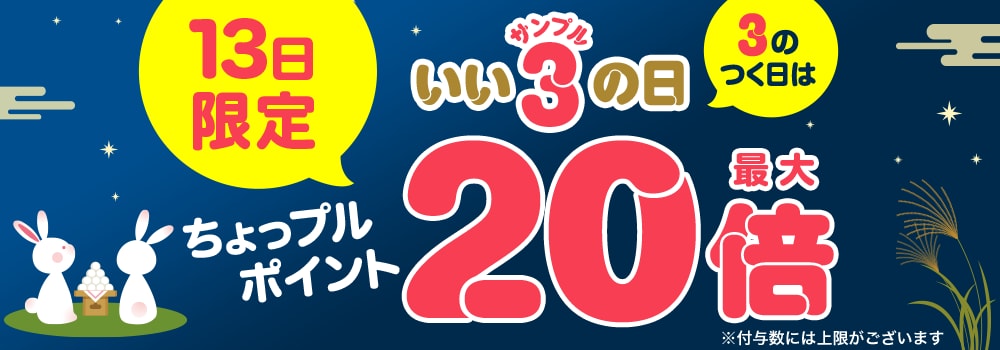 9420.202609サンプルの日 最大20倍