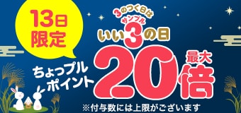 9420.202609サンプルの日 最大20倍