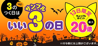 9562.202610サンプルの日 最大20倍