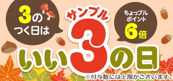 9674.202611サンプルの日 6倍