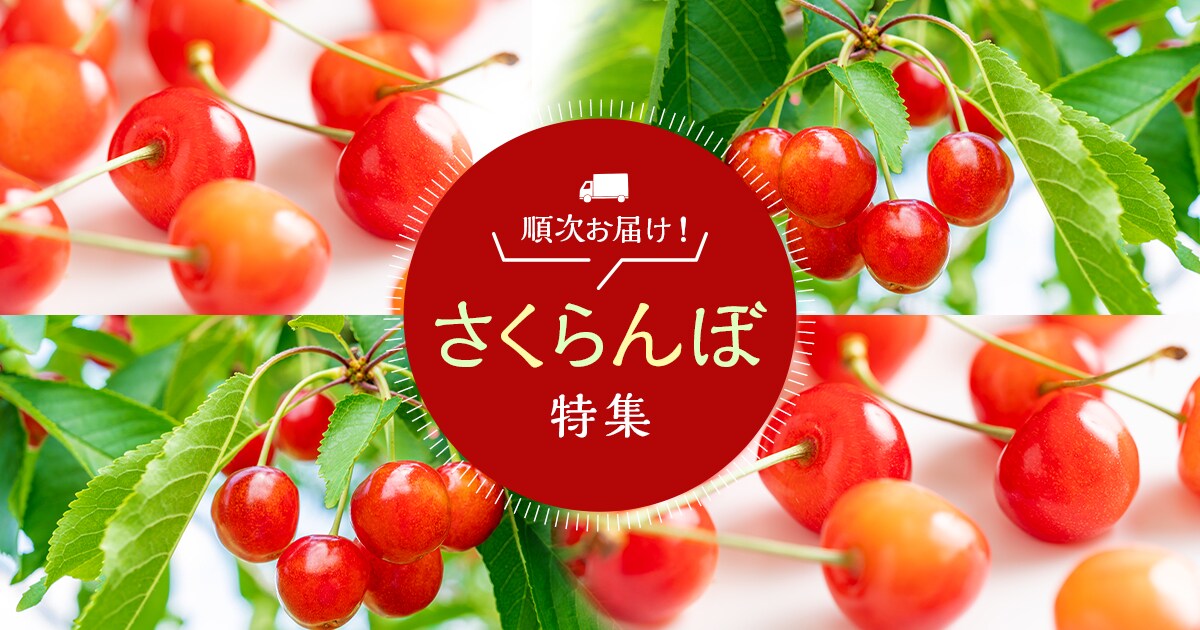 さくらんぼ特集