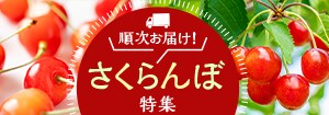 6742.さくらんぼ