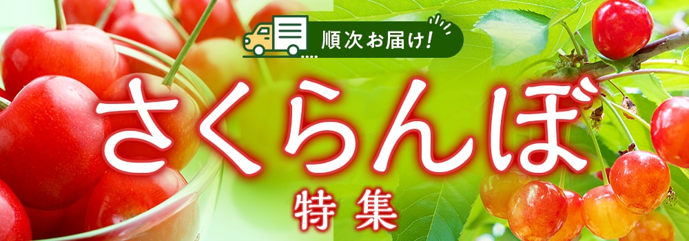 8556.さくらんぼ特集2603