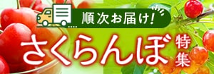 8556.さくらんぼ特集2603