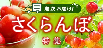 8556.さくらんぼ特集2603