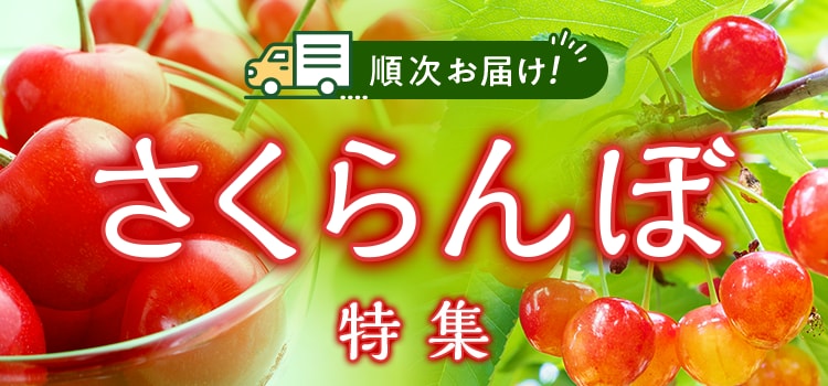 7321.さくらんぼ特集2603