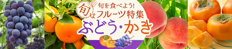 旬をたべよう！フルーツ特集