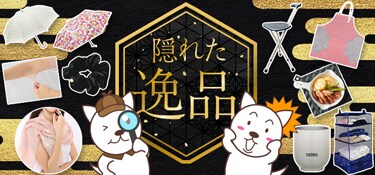 6413.隠れた逸品