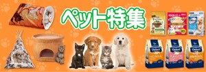6656.ペット特集