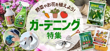 禅食　ZEN49 30袋2箱　新品 Amazon.co.jp: 禅食ZEN49 : ドラッグストア