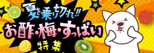 7438.夏を乗り切れ！お酢・梅・すっぱい特集