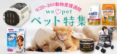 ネッコ トライアル3点セット(ブースターセラム・ローション