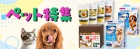 pagination
