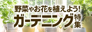 7871.ガーデニング特集202510