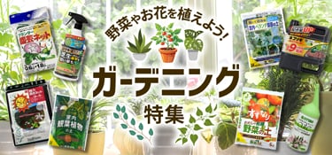 6691.ガーデニング特集202510