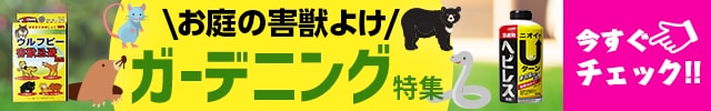 お庭の害獣よけ ガーデニング特集 今すぐチェック！！