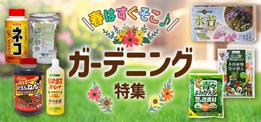 7191.ガーデニング特集2602