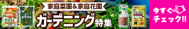 ガーデニング特集