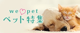 8594.ペット特集2603