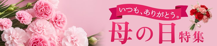 母の日