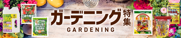 ガーデニング特集