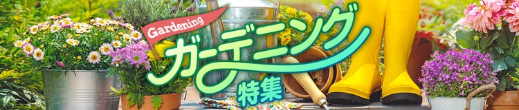 ガーデニング特集