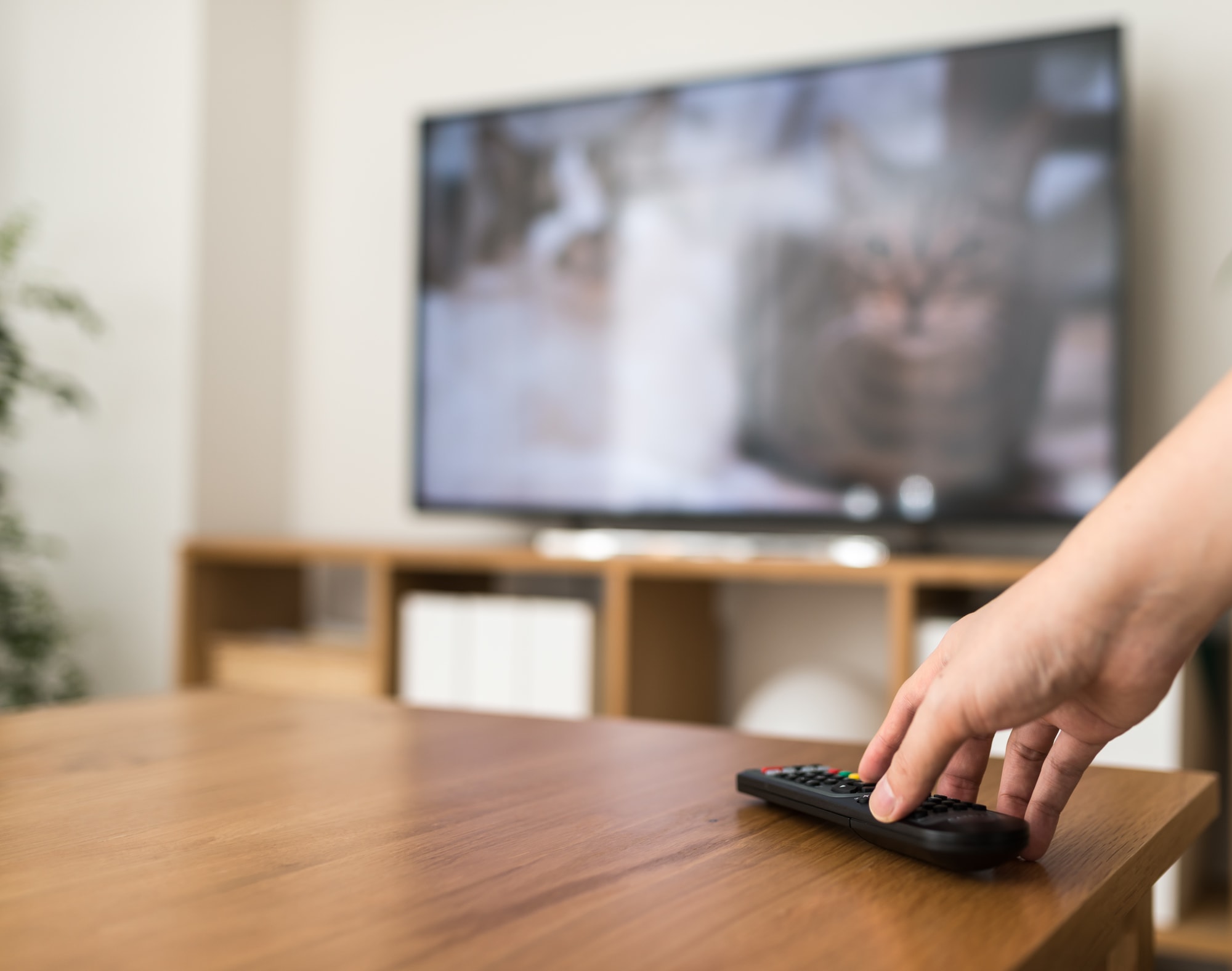 プロがお答え!テレビを買う前に知りたい5つの素朴なギモン