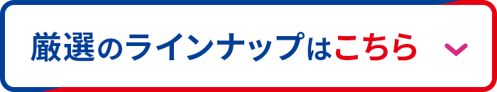 厳選のラインナップはこちら